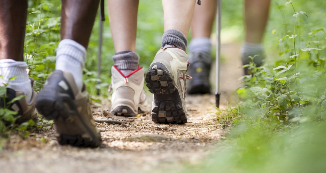 wandelschoenen in het bos