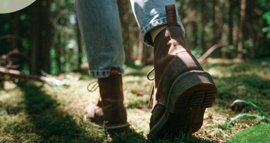 wandelschoenen in het bos