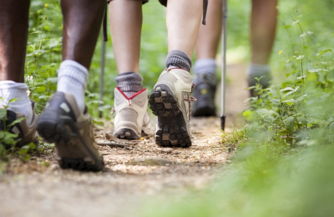 wandelschoenen in het bos