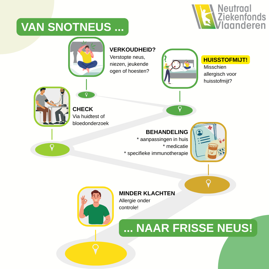 infographic over de huisstofmijt